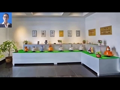 Bauwesen Gebäudehebe-Sicherheitsvorrichtung Sturzschutzvorrichtungen